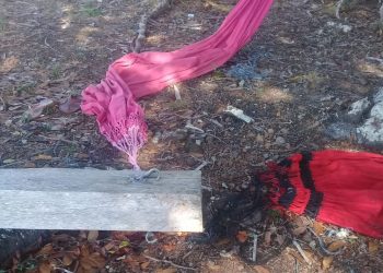 Foto: Redes Sociais/Reprodução