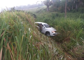 Crédito da foto: Reprodução