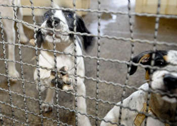 Foto: Agência Brasil