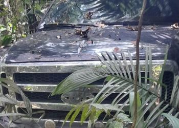 Foto: Reprodução / Site Folha do Progresso