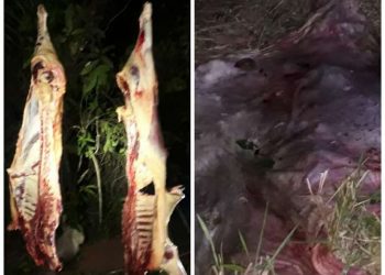 Fotos: Redes Sociais