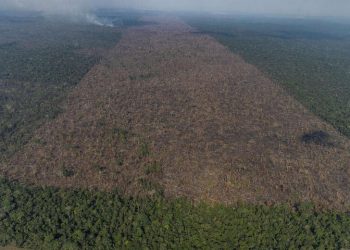 Foto: Reprodução da internet