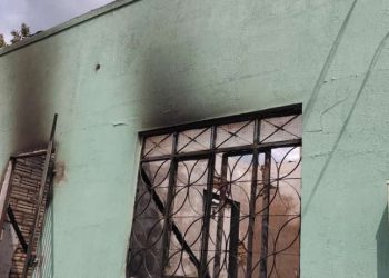 Foto: Thaís Portela