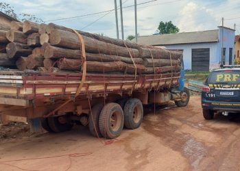 Foto: Divulgação/PRF-PA