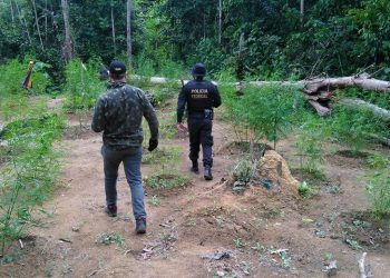 Foto: Polícia Federal