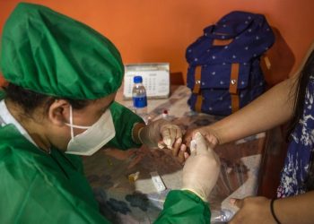 Foto: Agência Pará