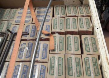 Foto: Divulgação/Agência Pará