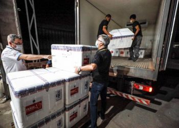 Foto: Agência Pará