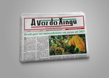 Edição 145 Jornal a Voz do Xingu