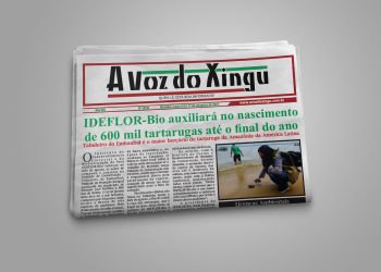 Edição 146 Jornal a Voz do Xingu