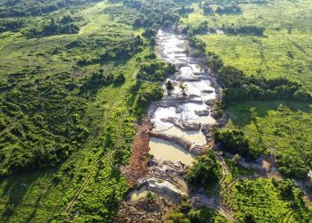 Foto: Reprodução/Agência Pará