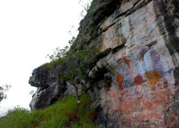 Foto: Ascom Ideflor-Bio/Divulgação