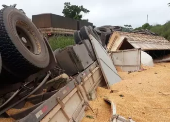 Foto: Reprodução redes sociais