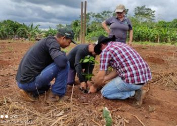 Foto: Agência Pará