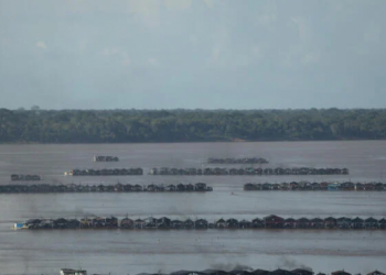 Foto: Bruno Kelly / Greenpeace