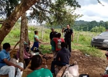 Acampamentos ficam localizados na fazenda Tinelli que, segundo MPF, pertence à União. — Foto: Reprodução/ TV Liberal