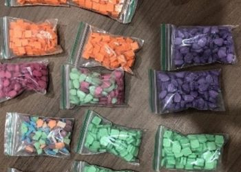 Foto: Polícia Federal/Divulgação