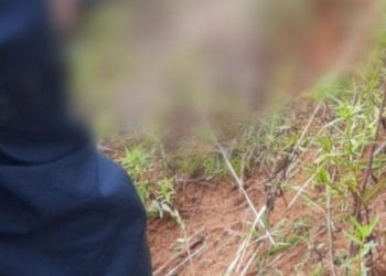 Jovem é assassinado a tiros em Brasil Novo, no Pará