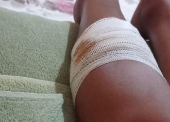 Foto: TV Liberal/Reprodução