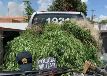 Foto: Reprodução / Site Ze Dudu