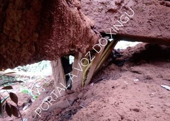 Foto: Ademir de Camargo/A Voz do Xingu