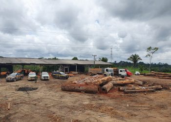 Operação Integrada apreende cerca de 497m³ de madeira irregular, em Anapu/PA