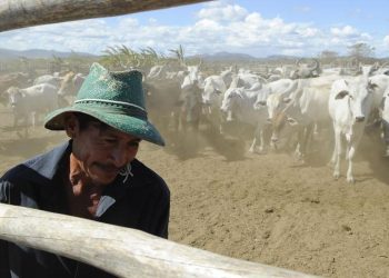 Foto: Agência Brasil