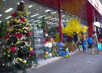 Foto: Pedro Guerreiro / Ag. Pará