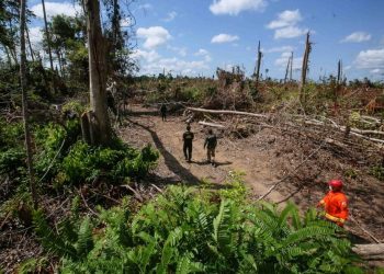 Foto: Alex Ribeiro - Ag. Pará