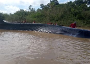Foto: Reprodução / Tv Liberal