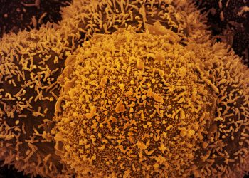 Foto: Agência Brasil