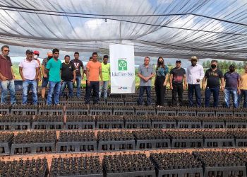 Produtores de Medicilândia e Vitória do Xingu aprendem novas técnicas sobre Sistemas Agroflorestais
