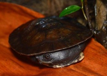 Foto: Fábio Cunha/Arquivo pessoal