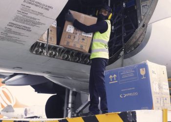 Foto: Agência Pará