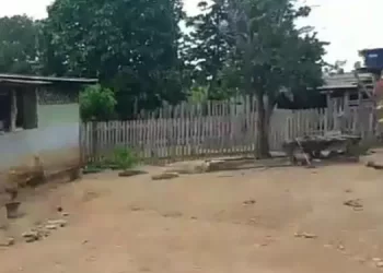 Foto: reprodução da internet