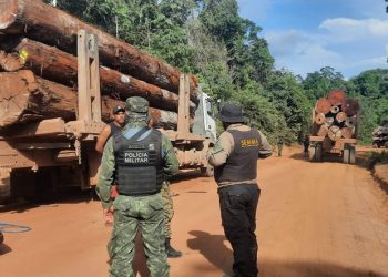 Foto: Semma/Divulgação