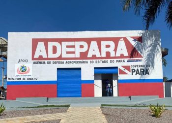 Adepará e Prefeitura de Anapu firmam acordo para fortalecer setor agropecuário do município