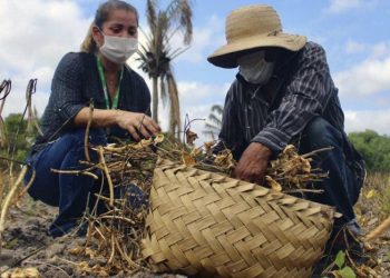 Foto: Veloso Junior/Emater
