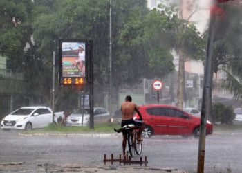 Foto: Bruno Cecim / Ag.Pará
