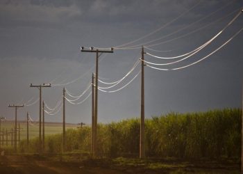 Foto: Energisa/Divulgação