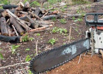 Crédito: Reprodução/Polícia Federal