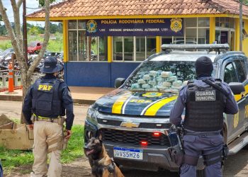 Foto: Divulgação PRF/PA