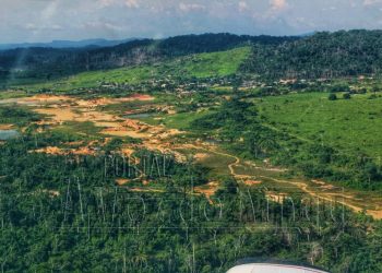 Foto: Wilson Soares / A Voz do Xingu