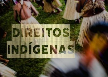 Sentença anula portaria que liberava registro de fazendas em terras indígenas na região de Altamira (PA)