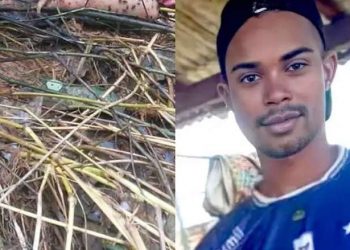 Crédito: Reprodução/Redes Sociais/WhatsApp