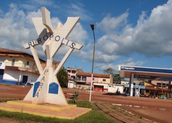 Foto: Icpet/Divulgação