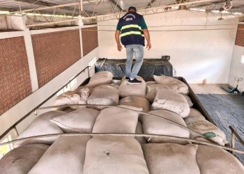 Foto: Agência Pará