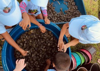 Foto: Ascom MRN/Divulgação