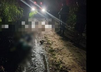 Crédito: Reprodução/Redes Sociais