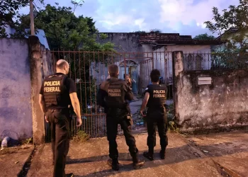 Operação Pavão Misterioso foi deflagrada nas primeiras horas da manhã de terça-feira (08/03) em Santarém — Foto: Polícia Federal/Divulgação